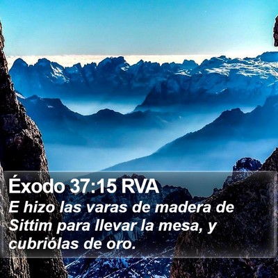 Éxodo 37:15 RVA Bible Verse Image