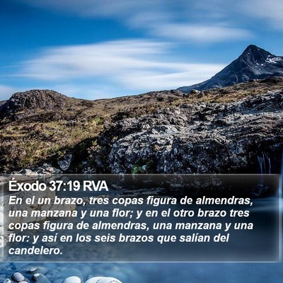 Éxodo 37:19 RVA Bible Verse Image
