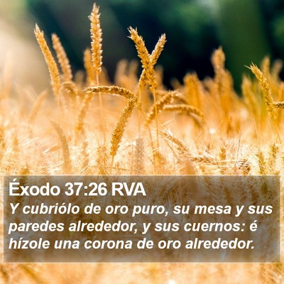 Éxodo 37:26 RVA Bible Verse Image