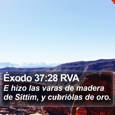 Éxodo 37:28 RVA Bible Verse Image