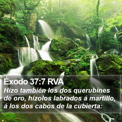Éxodo 37:7 RVA Bible Verse Image