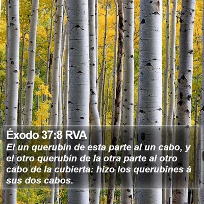 Éxodo 37:8 RVA Bible Verse Image