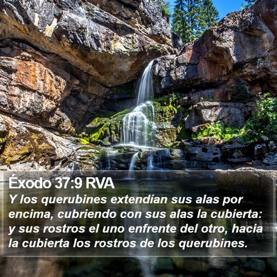 Éxodo 37:9 RVA Bible Verse Image