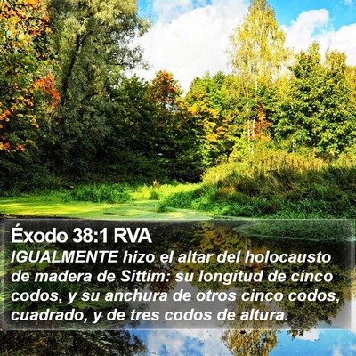 Éxodo 38:1 RVA Bible Verse Image