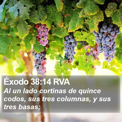 Éxodo 38:14 RVA Bible Verse Image