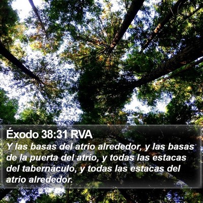 Éxodo 38:31 RVA Bible Verse Image