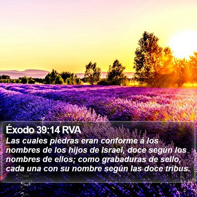 Éxodo 39:14 RVA Bible Verse Image