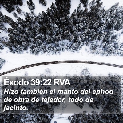Éxodo 39:22 RVA Bible Verse Image