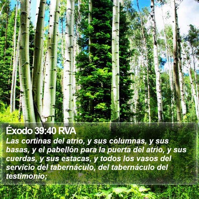 Éxodo 39:40 RVA Bible Verse Image