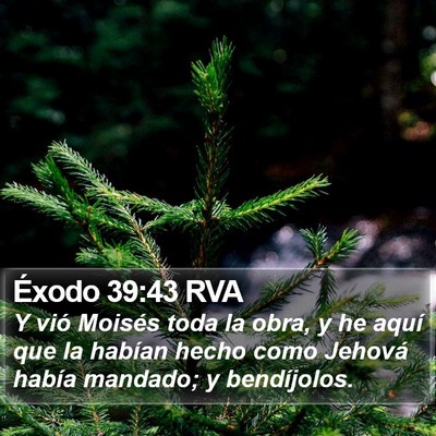 Éxodo 39:43 RVA Bible Verse Image