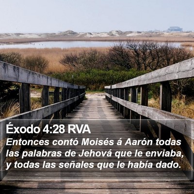 Éxodo 4:28 RVA Bible Verse Image