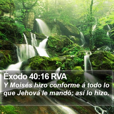 Éxodo 40:16 RVA Bible Verse Image