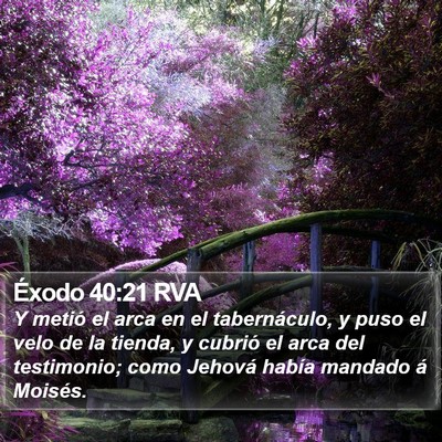 Éxodo 40:21 RVA Bible Verse Image