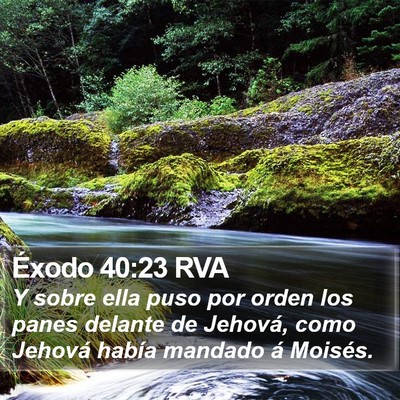 Éxodo 40:23 RVA Bible Verse Image