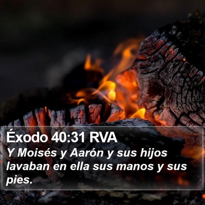 Éxodo 40:31 RVA Bible Verse Image