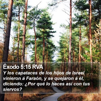 Éxodo 5:15 RVA Bible Verse Image