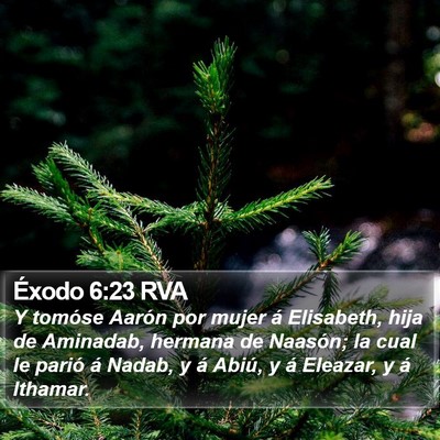 Éxodo 6:23 RVA Bible Verse Image