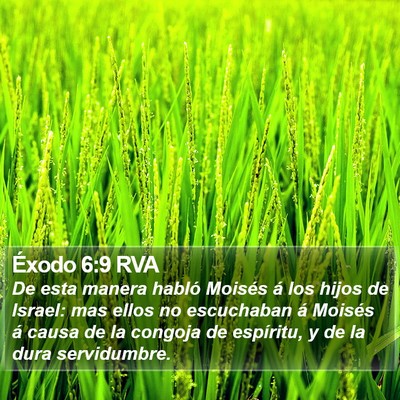Éxodo 6:9 RVA Bible Verse Image