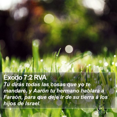 Éxodo 7:2 RVA Bible Verse Image