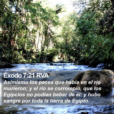 Éxodo 7:21 RVA Bible Verse Image