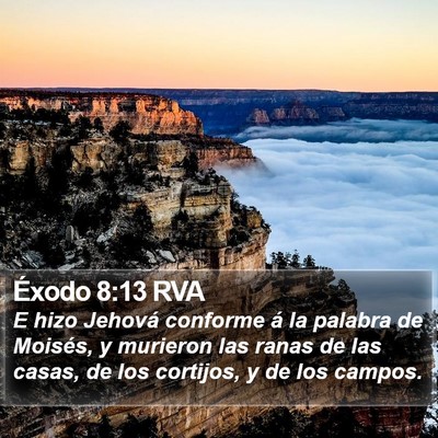 Éxodo 8:13 RVA Bible Verse Image