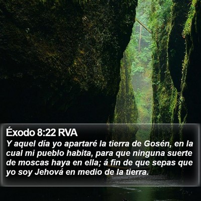 Éxodo 8:22 RVA Bible Verse Image