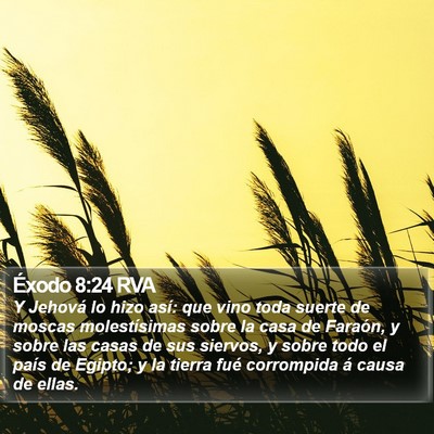 Éxodo 8:24 RVA Bible Verse Image