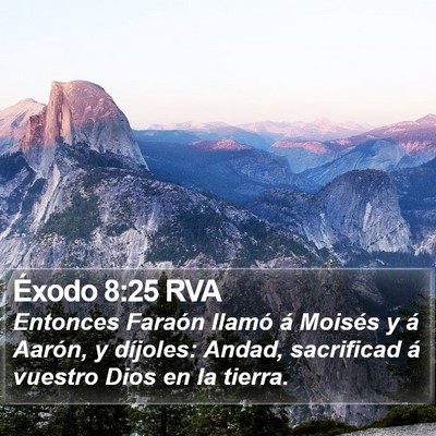 Éxodo 8:25 RVA Bible Verse Image