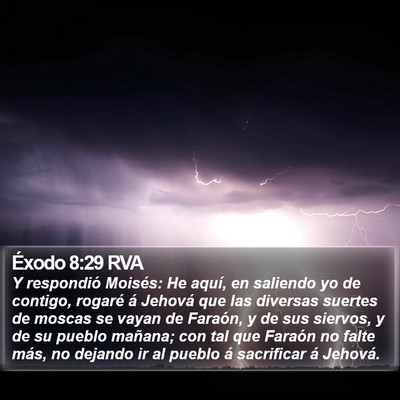 Éxodo 8:29 RVA Bible Verse Image