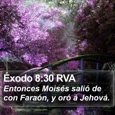 Éxodo 8:30 RVA Bible Verse Image
