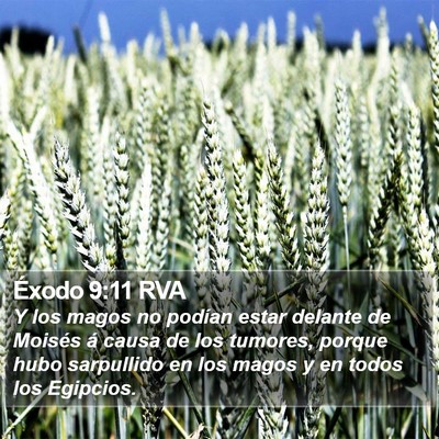 Éxodo 9:11 RVA Bible Verse Image