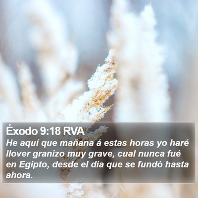 Éxodo 9:18 RVA Bible Verse Image