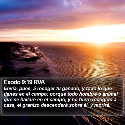 Éxodo 9:19 RVA Bible Verse Image