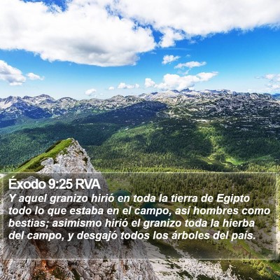 Éxodo 9:25 RVA Bible Verse Image