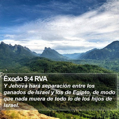 Éxodo 9:4 RVA Bible Verse Image