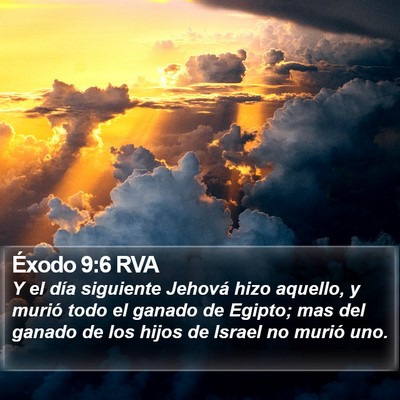 Éxodo 9:6 RVA Bible Verse Image
