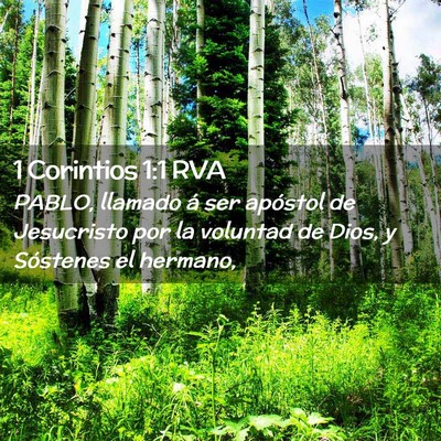 Picture 02 - 1 Corintios 1:1 RVA - PABLO, llamado á ser apóstol de Jesucristo por - Bible Verse Picture