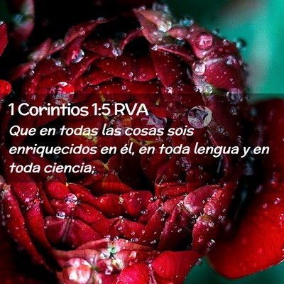 Picture 02 - 1 Corintios 1:5 RVA - Que en todas las cosas sois enriquecidos en él, - Bible Verse Picture