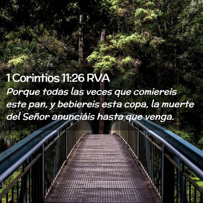 Picture 02 - 1 Corintios 11:26 RVA - Porque todas las veces que comiereis este pan, y - Bible Verse Picture
