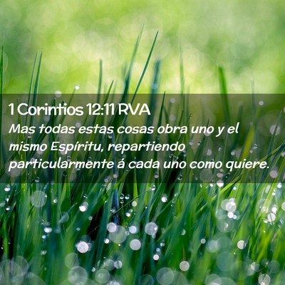 Picture 02 - 1 Corintios 12:11 RVA - Mas todas estas cosas obra uno y el mismo - Bible Verse Picture