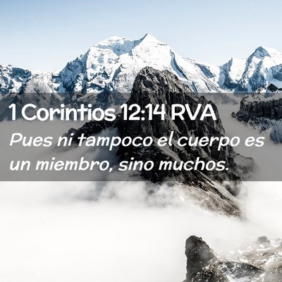 Picture 02 - 1 Corintios 12:14 RVA - Pues ni tampoco el cuerpo es un miembro, sino - Bible Verse Picture