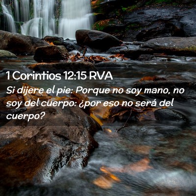 Picture 02 - 1 Corintios 12:15 RVA - Si dijere el pie: Porque no soy mano, no soy del - Bible Verse Picture