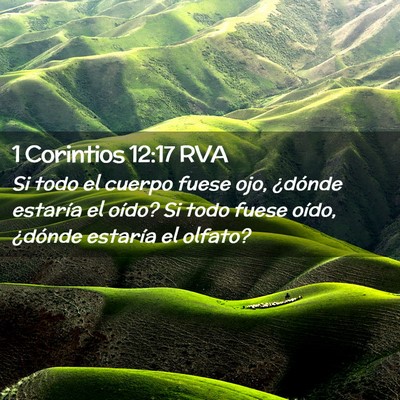 Picture 02 - 1 Corintios 12:17 RVA - Si todo el cuerpo fuese ojo, ¿dónde estaría el - Bible Verse Picture