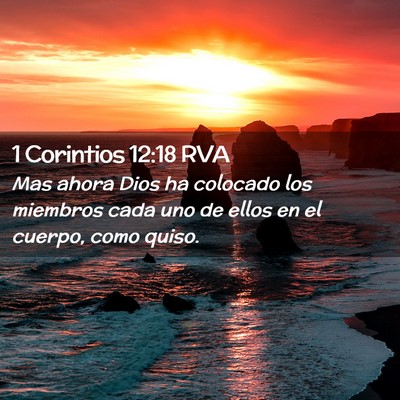 Picture 02 - 1 Corintios 12:18 RVA - Mas ahora Dios ha colocado los miembros cada uno - Bible Verse Picture