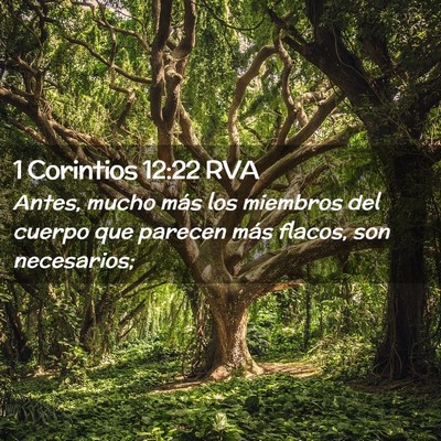 Picture 02 - 1 Corintios 12:22 RVA - Antes, mucho más los miembros del cuerpo que - Bible Verse Picture
