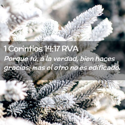 Picture 02 - 1 Corintios 14:17 RVA - Porque tú, á la verdad, bien haces gracias; mas - Bible Verse Picture