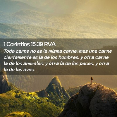 Picture 02 - 1 Corintios 15:39 RVA - Toda carne no es la misma carne; mas una carne - Bible Verse Picture