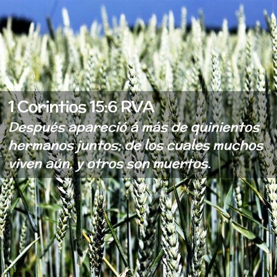 Picture 02 - 1 Corintios 15:6 RVA - Después apareció á más de quinientos hermanos - Bible Verse Picture