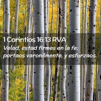 Picture 02 - 1 Corintios 16:13 RVA - Velad, estad firmes en la fe; portaos - Bible Verse Picture