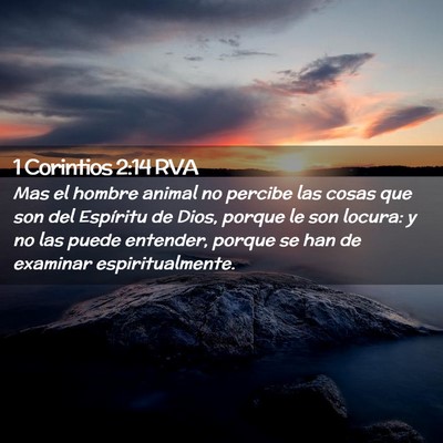 Picture 02 - 1 Corintios 2:14 RVA - Mas el hombre animal no percibe las cosas que son - Bible Verse Picture